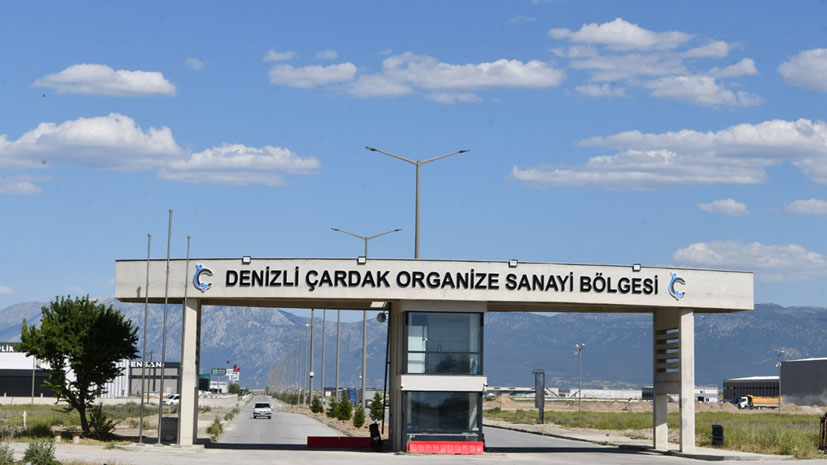 Organize