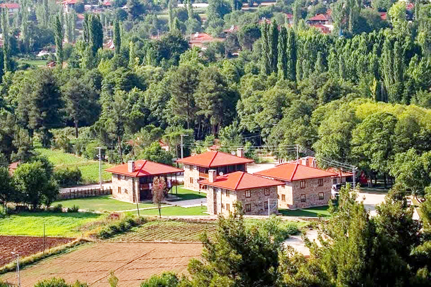 Foto3-2