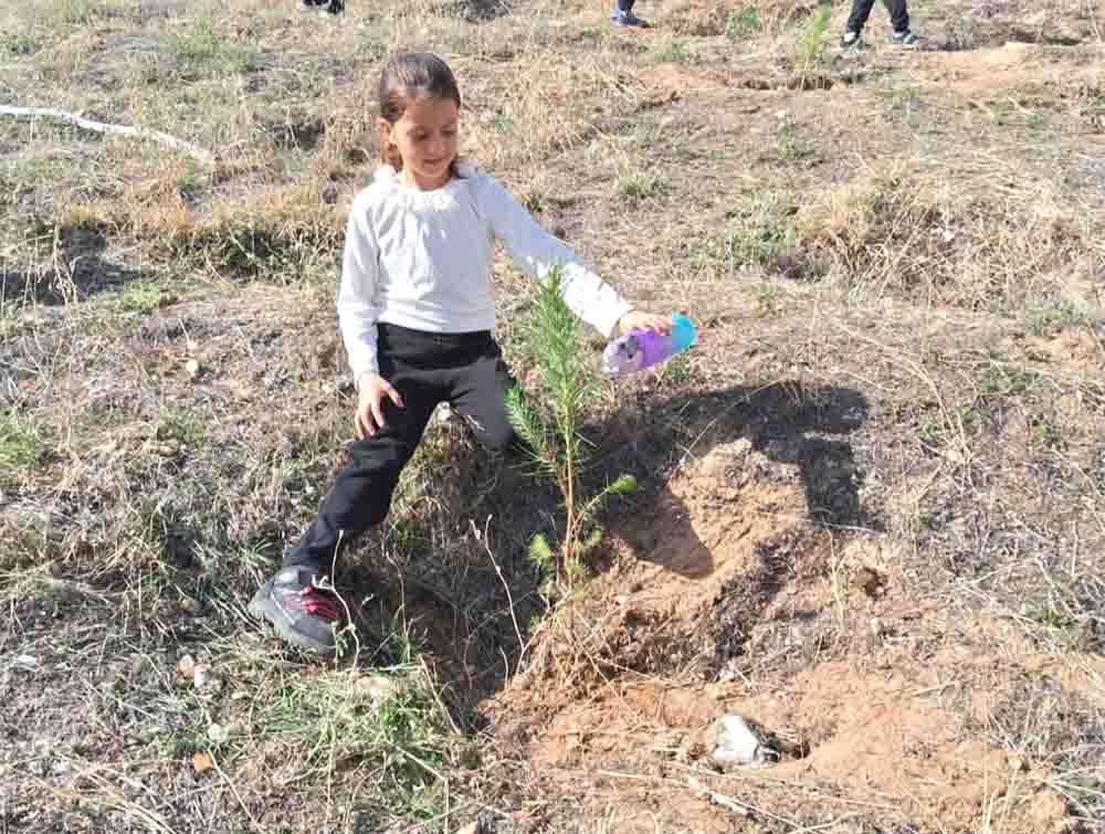 571666506 1657760445618528 2644536582621967665 N