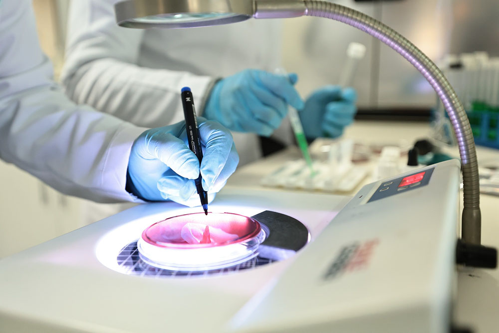 Dençev, Türkak Denetimini Başarıyla Tamamladı (6)