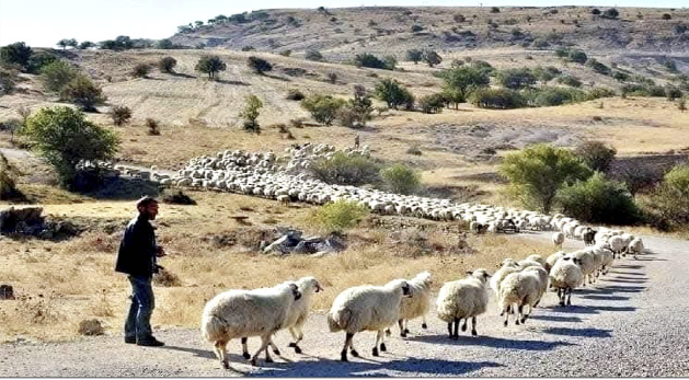 Screen Shot 2025 10 17 At 10.06.30