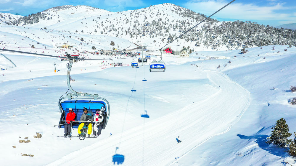 20220317075156 5880Aa0F Db08 4C38 Ba16 0F94F2348C94-2