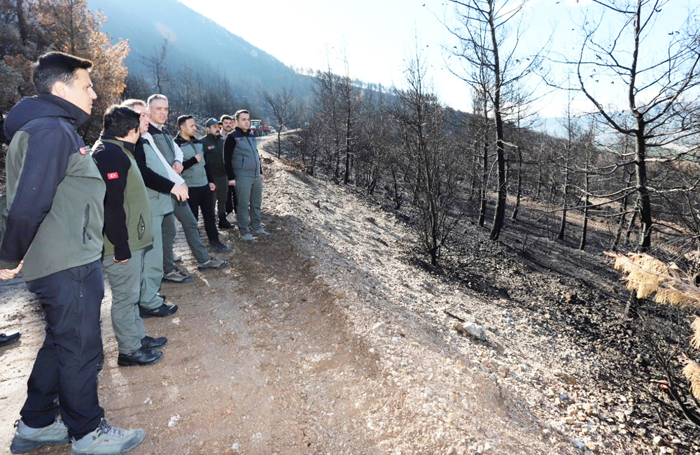 559083259 1639058427488730 5453690177255291909 N