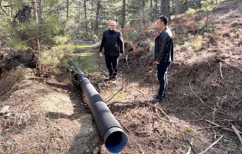 583289928 1239716718188104 3748542615209555551 N