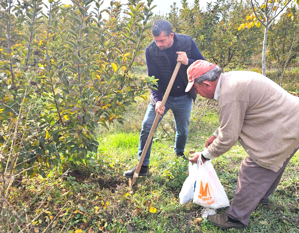 583681879 1310928974381115 3080119159106472234 N