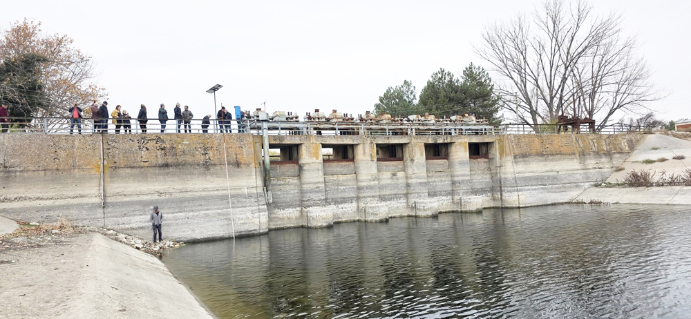 586690144 816732311241996 4916869240057500312 N