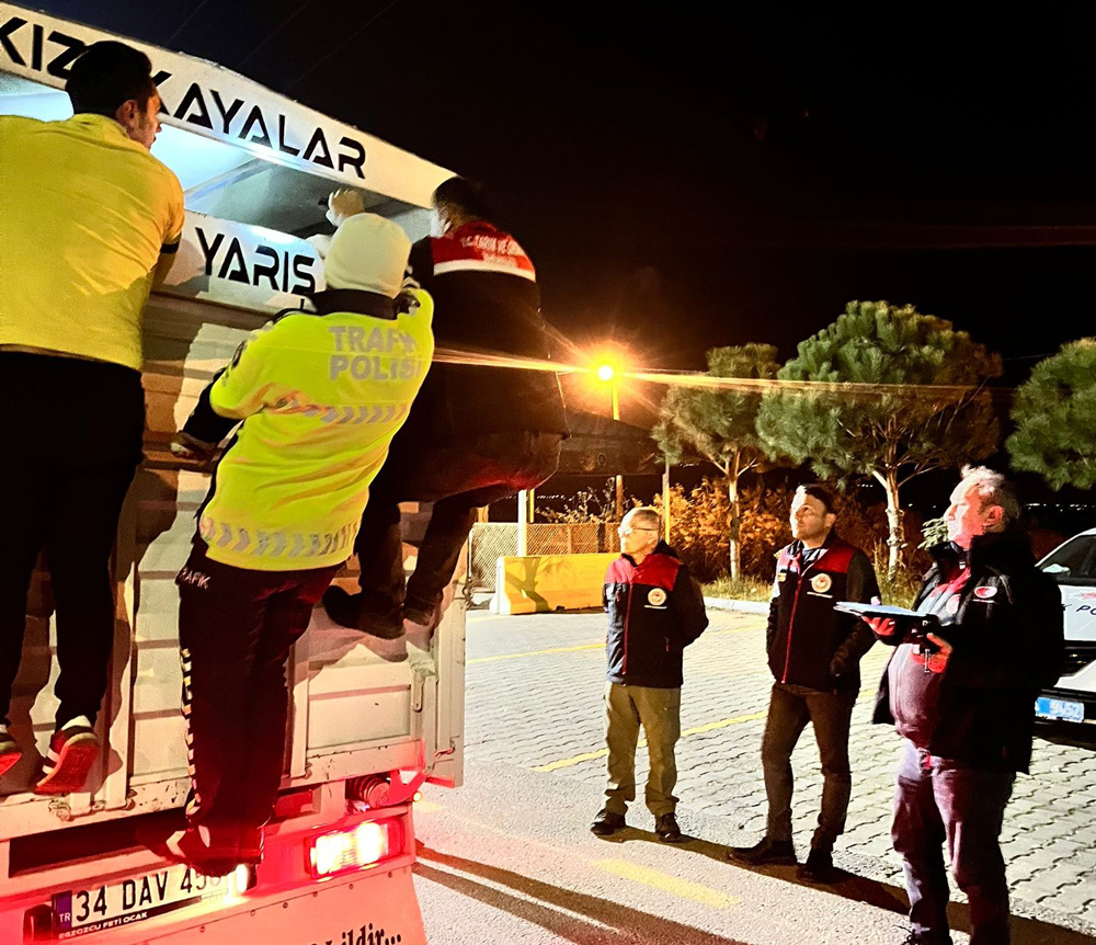 587119384 1317138953760117 5920134746651322562 N