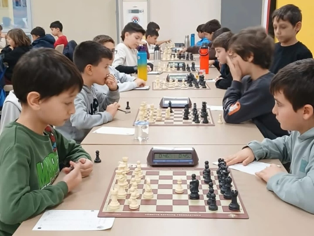 588711663 18351380254206729 9031012416729179060 N