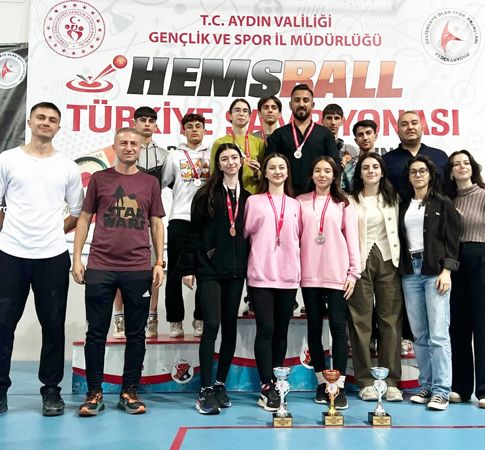 589194305 18351721690206729 216664713889093478 N