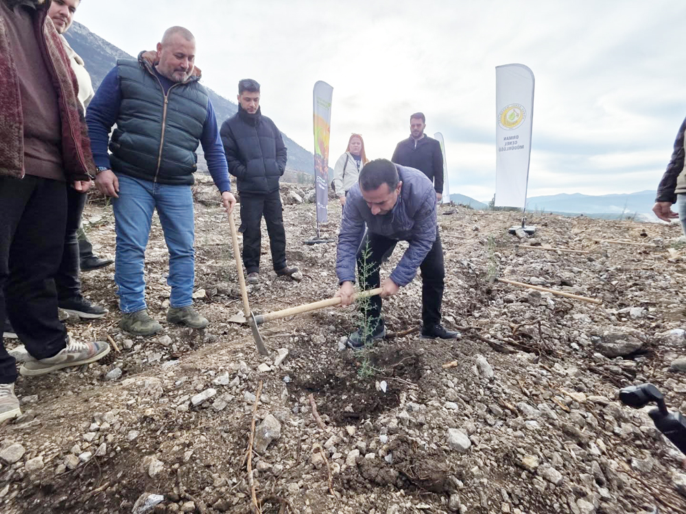 603890055 18341561167227956 8286619575883064138 N