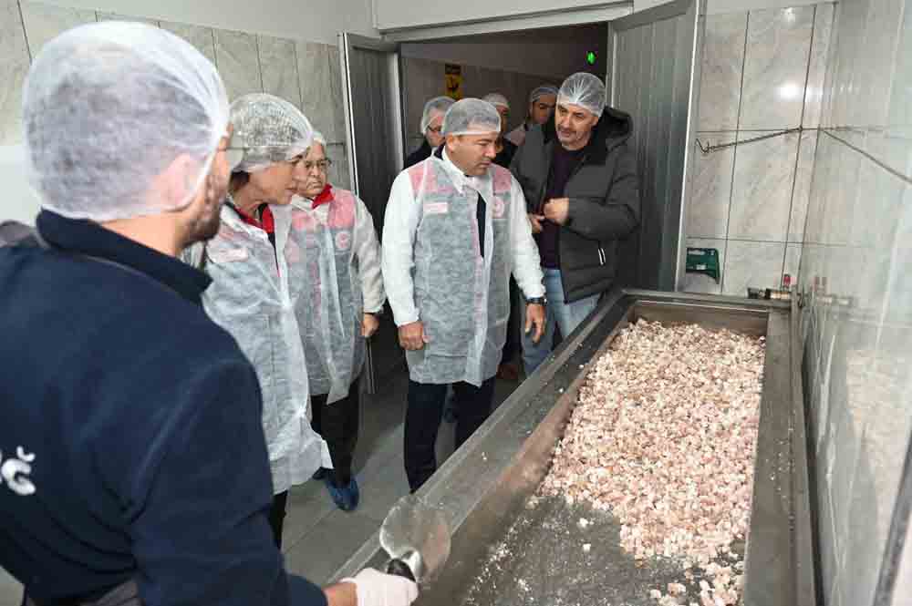 605290196 1341394918001187 899775490998142898 N