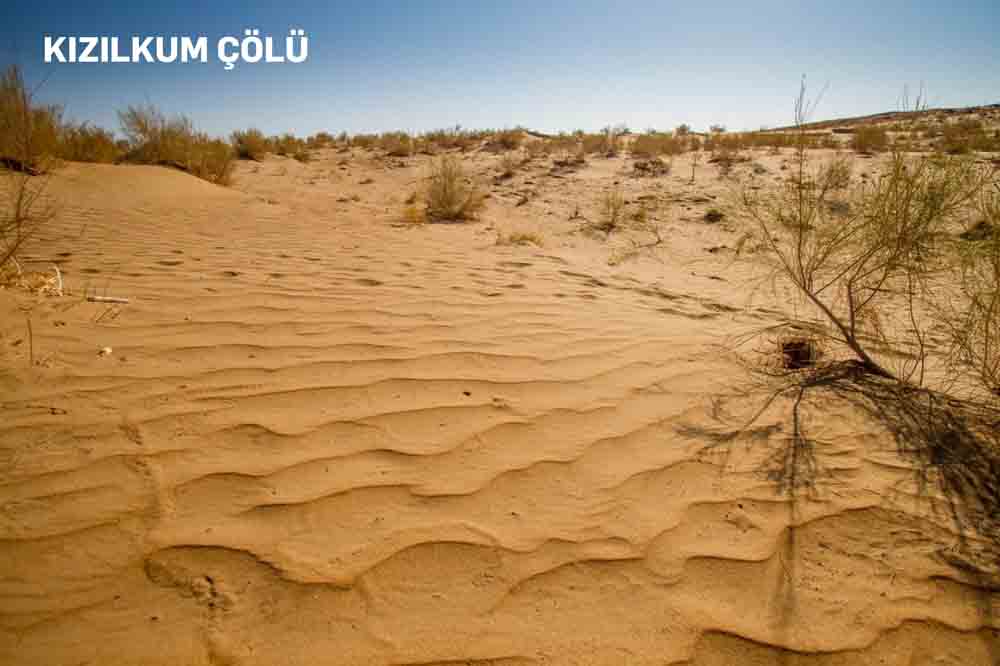 Kızılkum Çölü