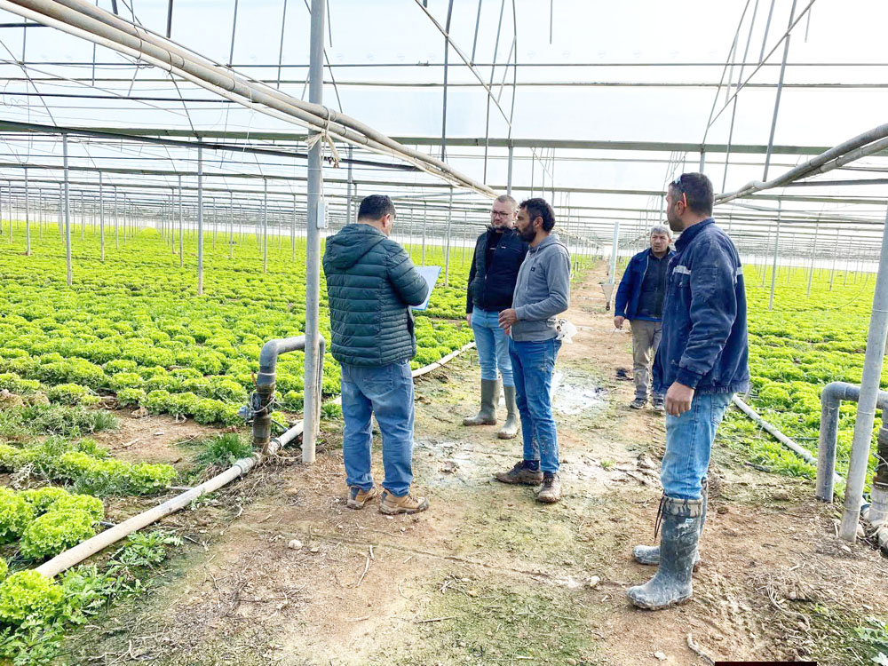 612897038 1354574333349912 6067223633244239445 N