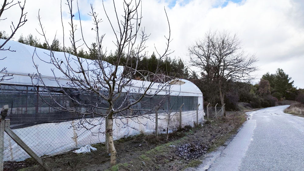 613645604 1354574470016565 5487144305297390523 N