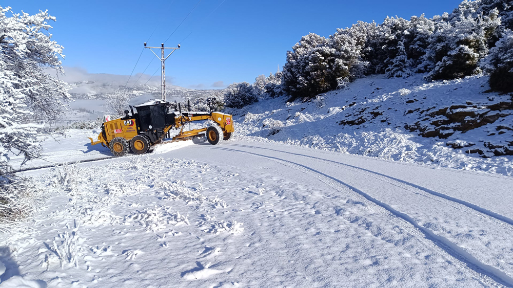 615343794 2578411502534511 9076361156570165616 N-1