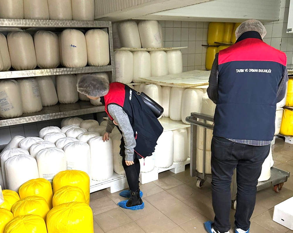 616673917 1365168478957164 5824025040141700820 N