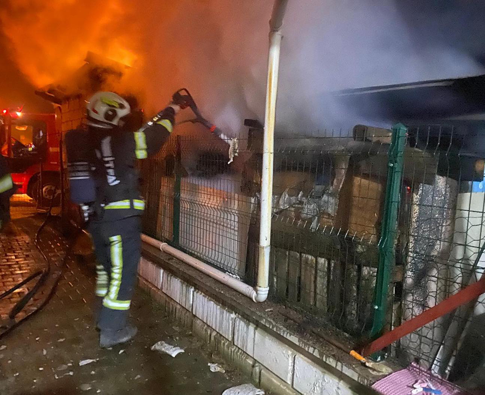 625687505 1395806425925918 2880952772789371185 N