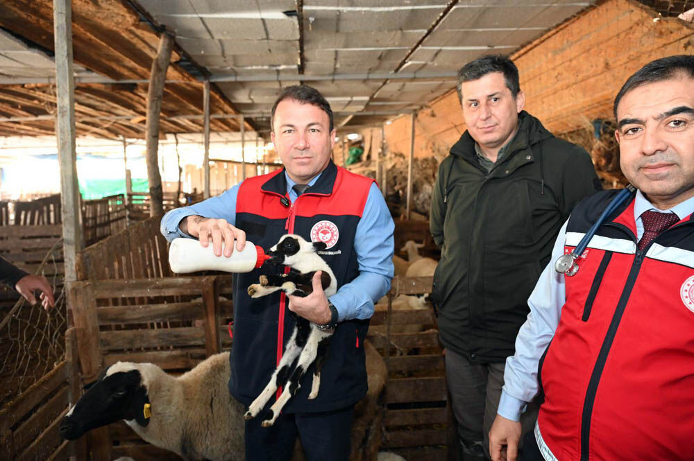 638533387 1394303139377031 5359285938578018192 N