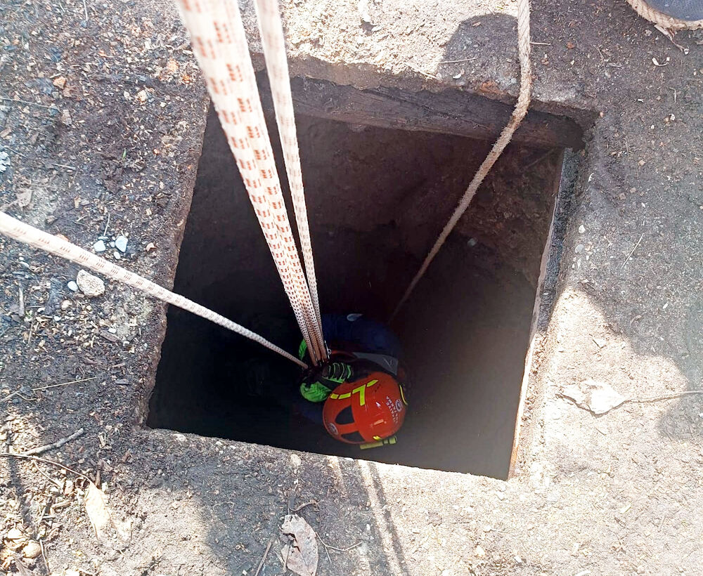 641556537 1415216730651554 5690764536939377014 N