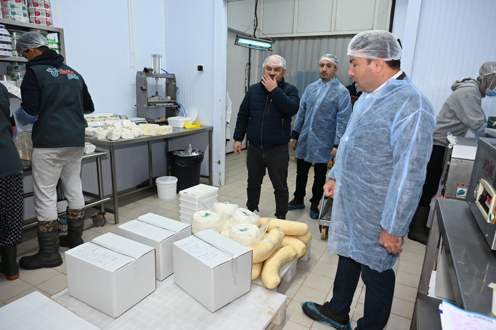 Tarım Ill Baklan (3)