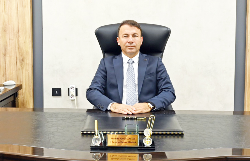 Whatsapp Image 2026 02 17 At 13.34.52