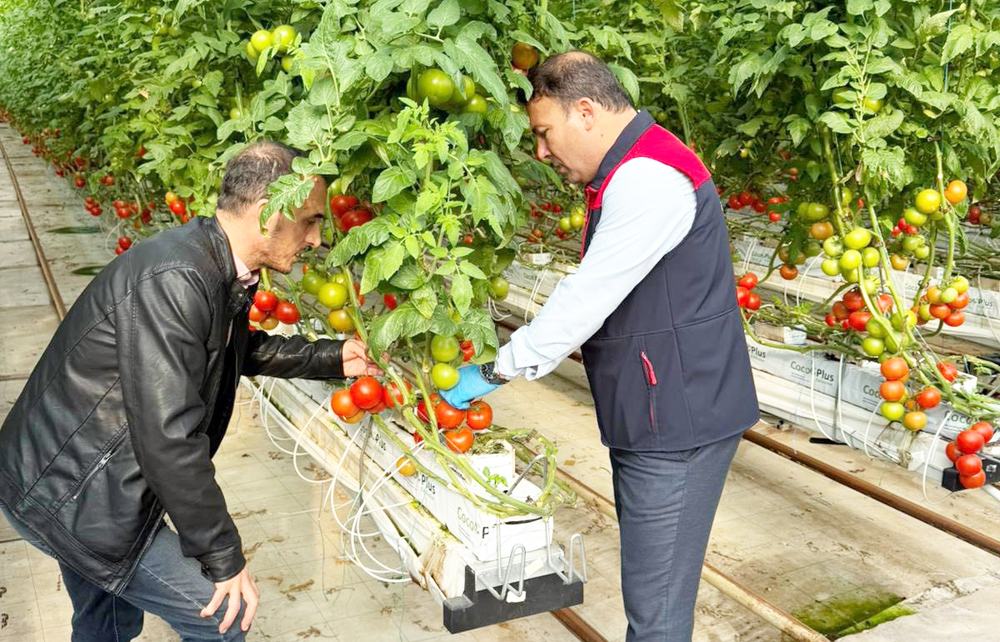 Whatsapp Image 2026 02 19 At 15.27.35 (5)