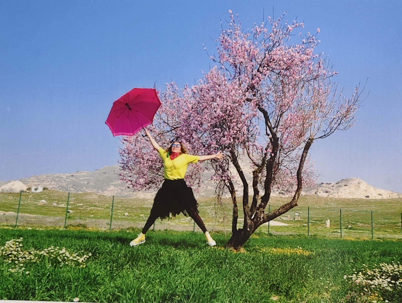 5Dc04696 Cbe1 4Dcd Ad6F 66C8Fcbcaf99