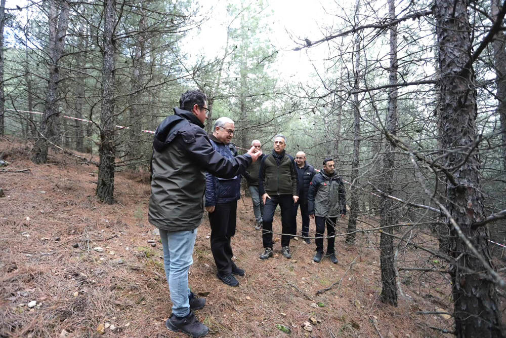 643830026 1765710071490231 8434720957507260049 N