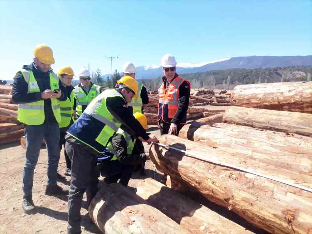 650021197 1775210970540141 1179730646266352055 N