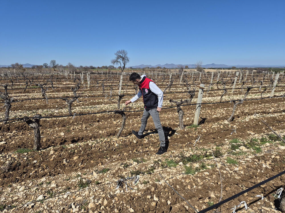 651706280 1409645987842746 8016731999325793953 N