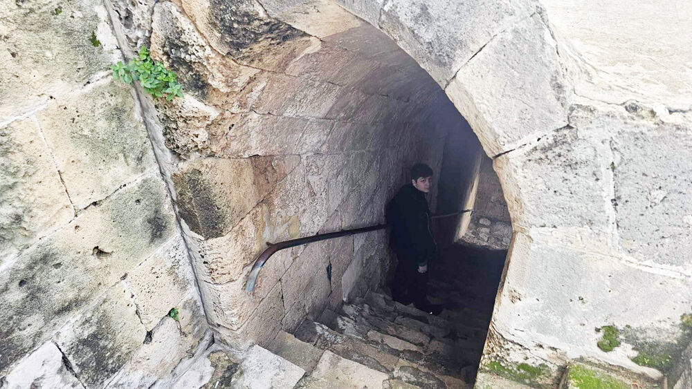 969Ecece E336 40F1 A247 B19869Ca2A14