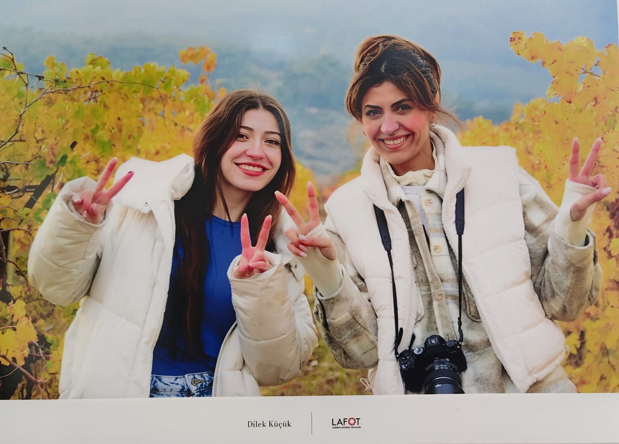 E09Eef10 B8Fb 4D76 9355 953584E07942