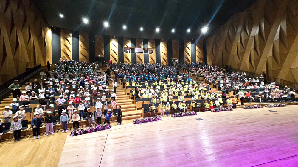 666713283 1799400888121149 524870400709791087 N