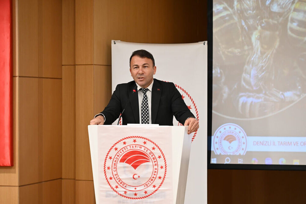 669039305 1431467978993880 8638417848459030030 N