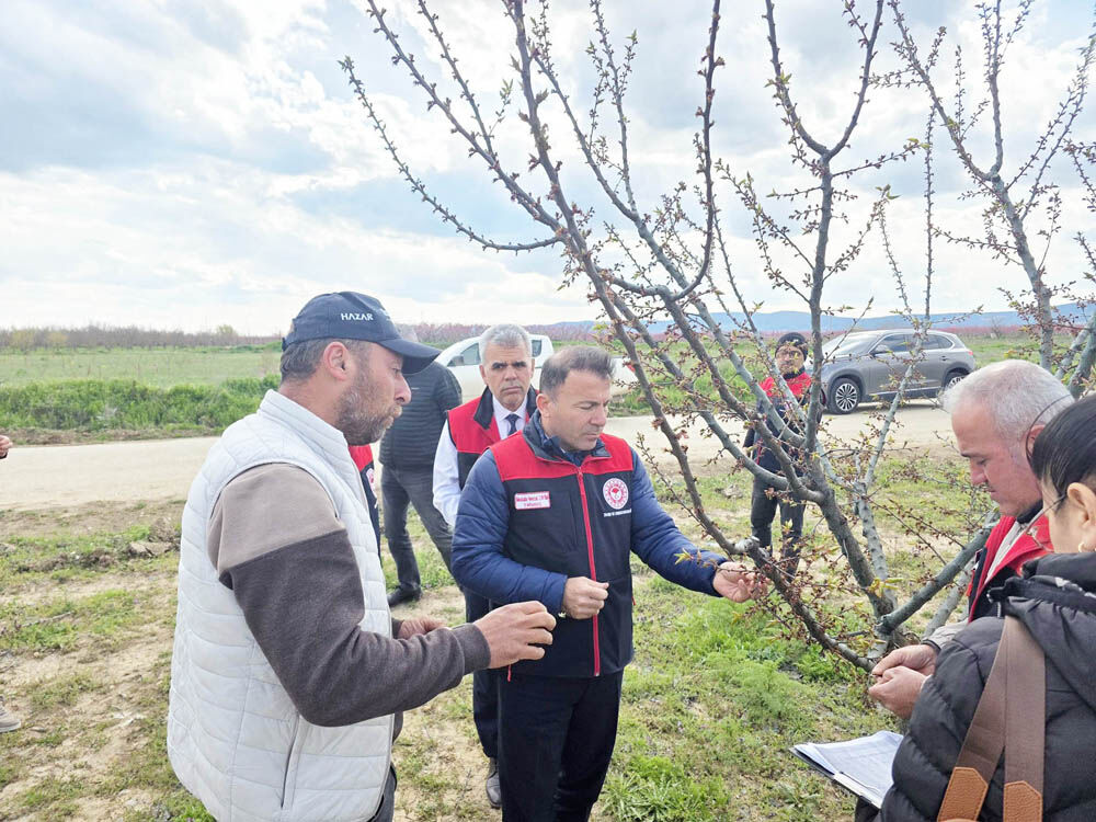 669710555 1432348652239146 4752648390466936246 N