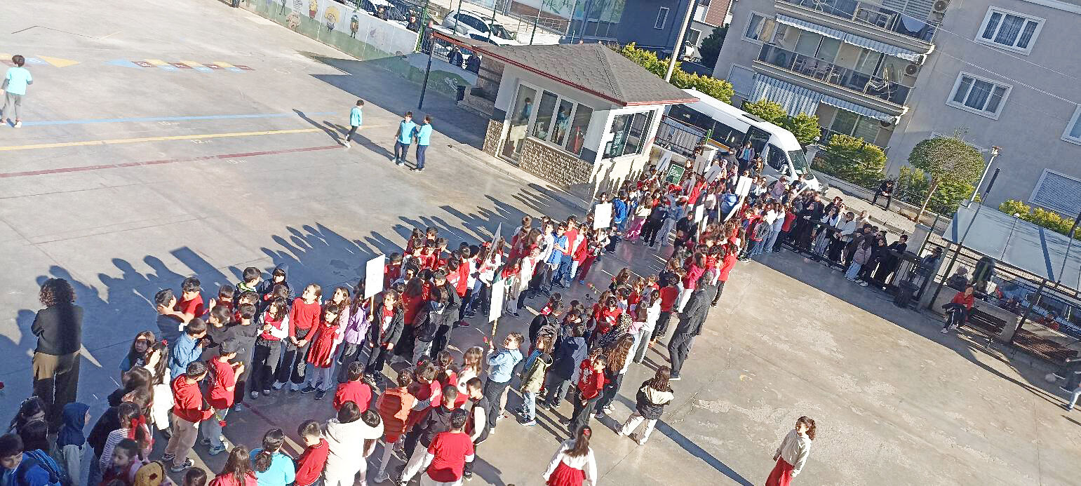 675519822 1665181627976291 6745825938536370924 N