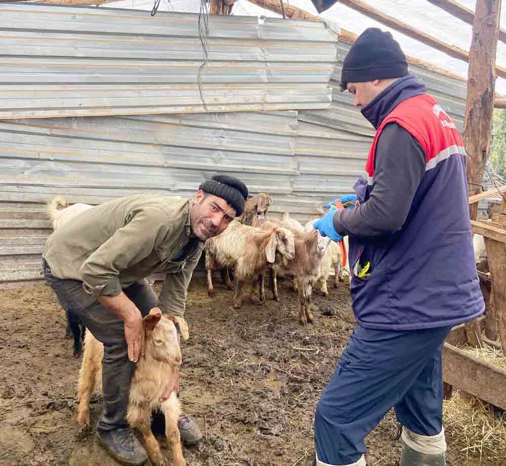 682638087 1447622480711763 9011693429597287641 N