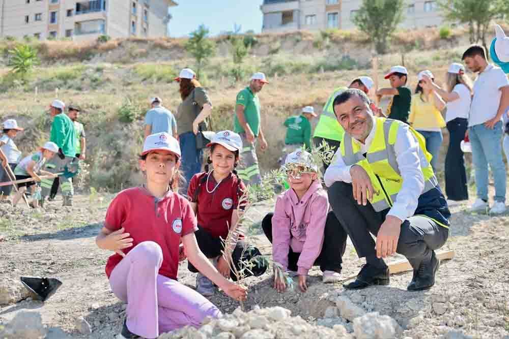 Büyükşehir Ile Doğaya Yeşil Dokunuş Zeytin Fidanları Toprakla Buluştu (8)