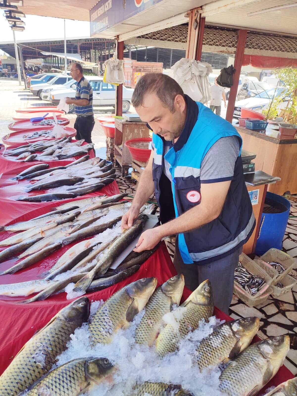 Balık Denetim (3)