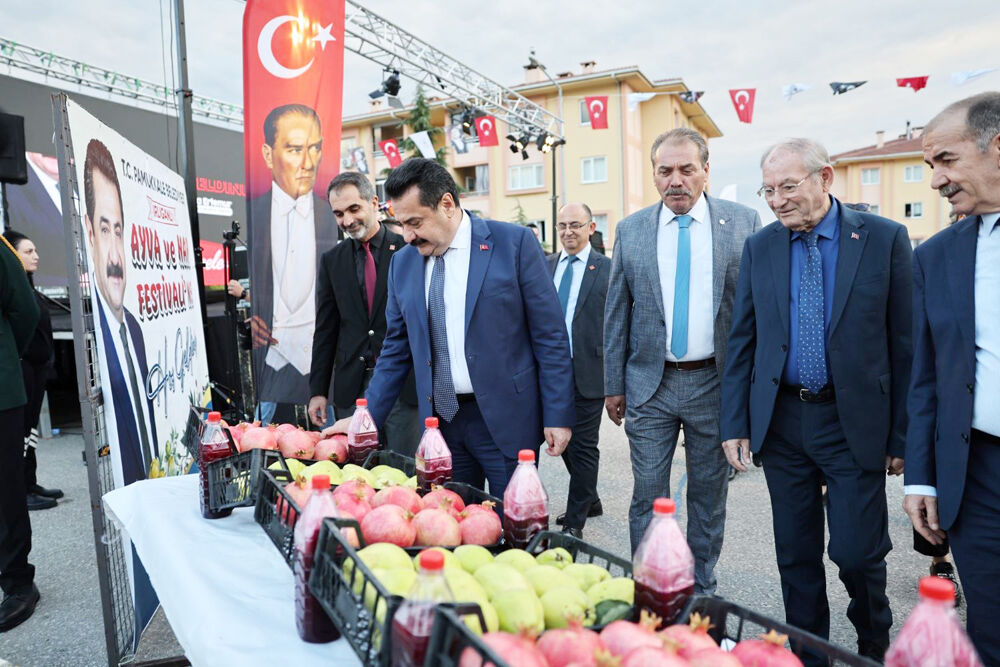 Ayva Ve Nar Festivali (3)